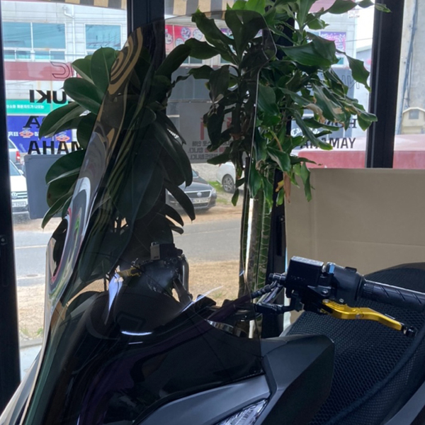 바이커스 PCX125 21-24 윈드스크린 스모크 765mm