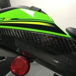 [해외] R&G 가와사키 ZX10R 16-20 카본 테일 슬라이더 TLS0031C