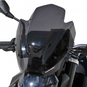 ERMAX BMW F900R 20이상 전용 라이트블랙 윈드스크린