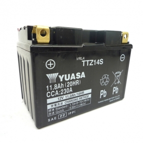 유아사 트라이엄프 타이거900 20이상 배터리 TTZ14S