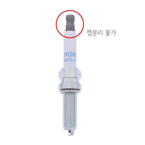 NGK BMW F750GS F850GS ADV 스파크 플러그 LMAR9J-9E(94162)