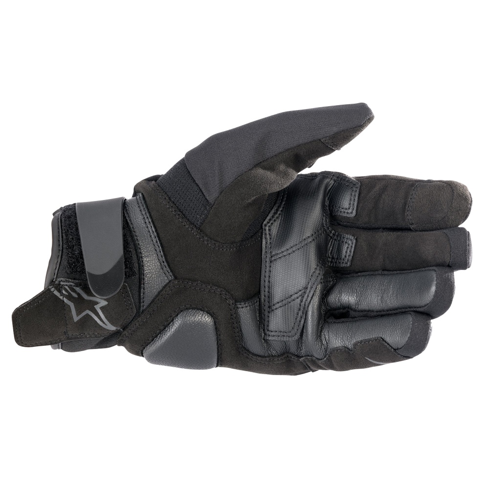 Black2_155033.jpg