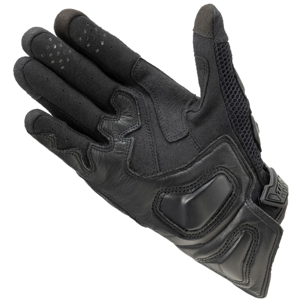 ALLBLACK1_144542.jpg