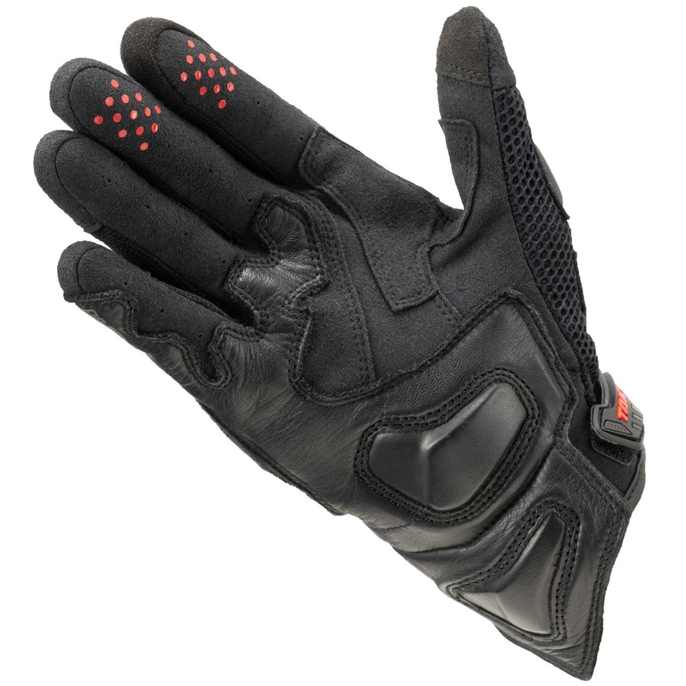 BLACKRED2_150256.jpg BLACKRED2_150256.jpg