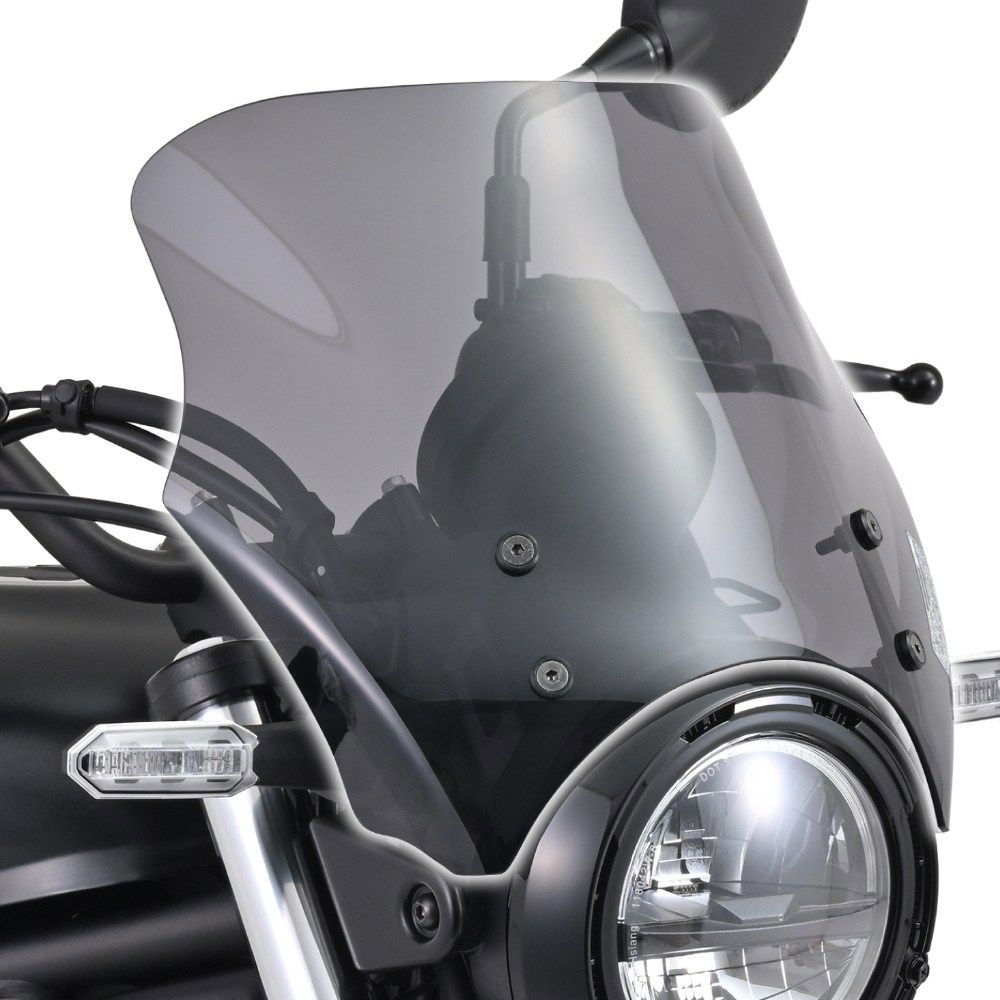 데이토나 가와사키 엘리미네이터500 24이상 윈드스크린 블래스트 스모크 42156