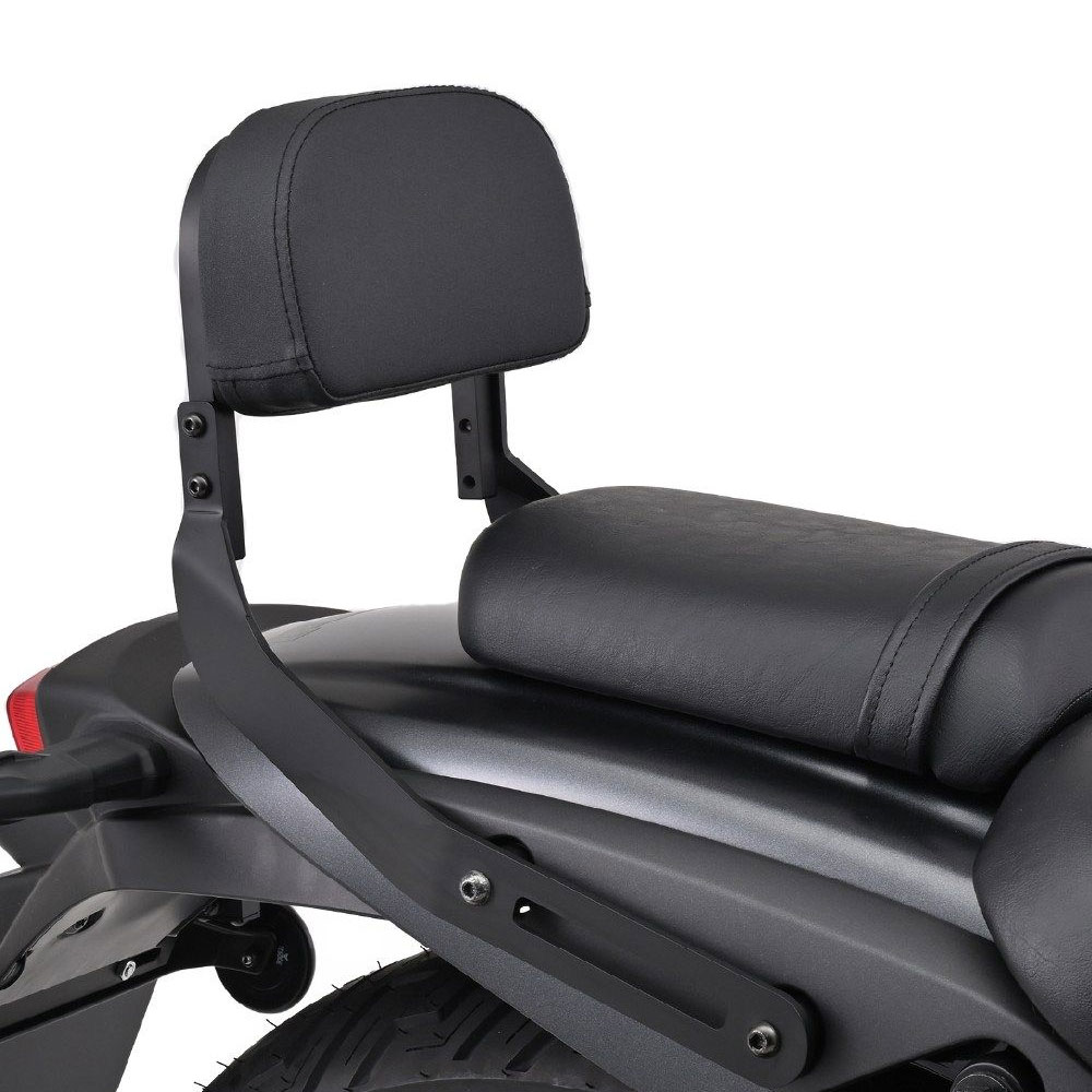 [해외] 데이토나 가와사키 엘리미네이터500 24이상 등받이 킷 38522