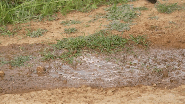 faeac4e1eef307c2ab7b0a3821e6c667_144613.gif faeac4e1eef307c2ab7b0a3821e6c667_144613.gif
