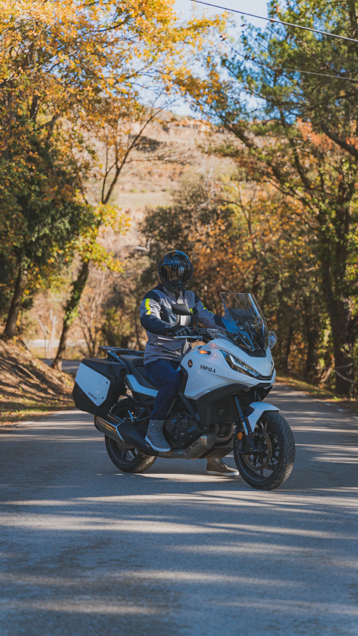 940357b02737e4844eb28b101971d388_113635.jpg