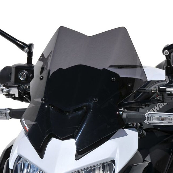 ERMAX 가와사키 Z900 20이상 스크린 라이트블랙